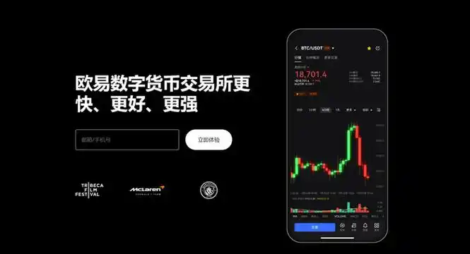 topay钱包官网APP下载平台展示图